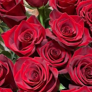 Meet your Posher, Karina